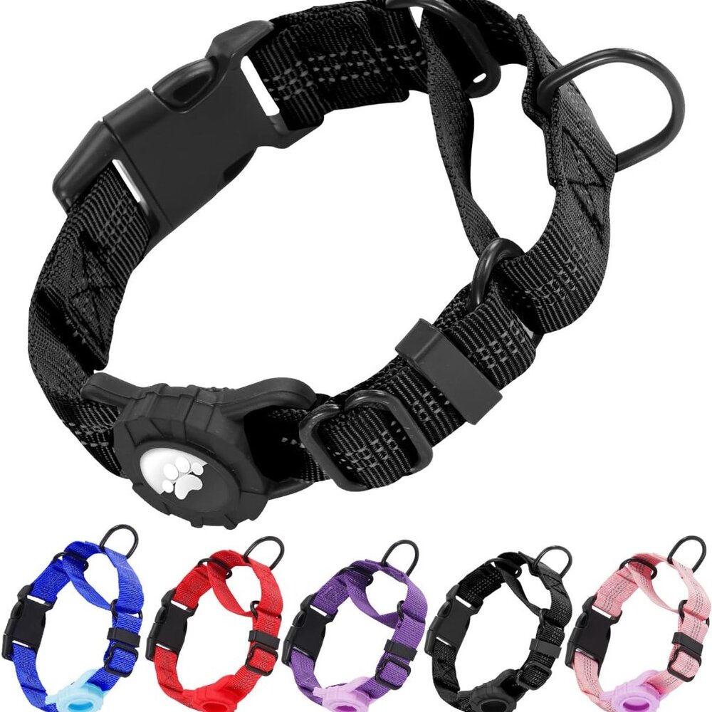 Dog Collar with AirTag Holder, Reflective Nylon, Quick Release Buckle (L)